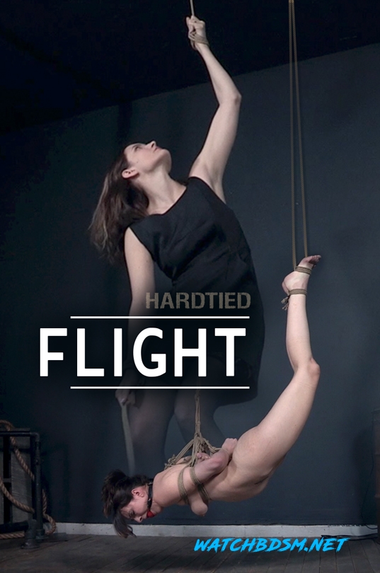 Flight - HD - Hardtied