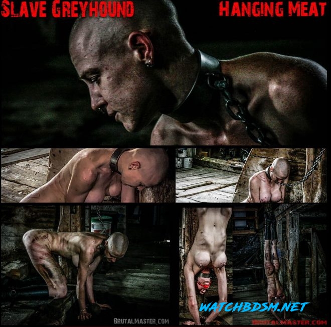 Brutal Master Hanging Meat: Slave Greyhound - FullHD