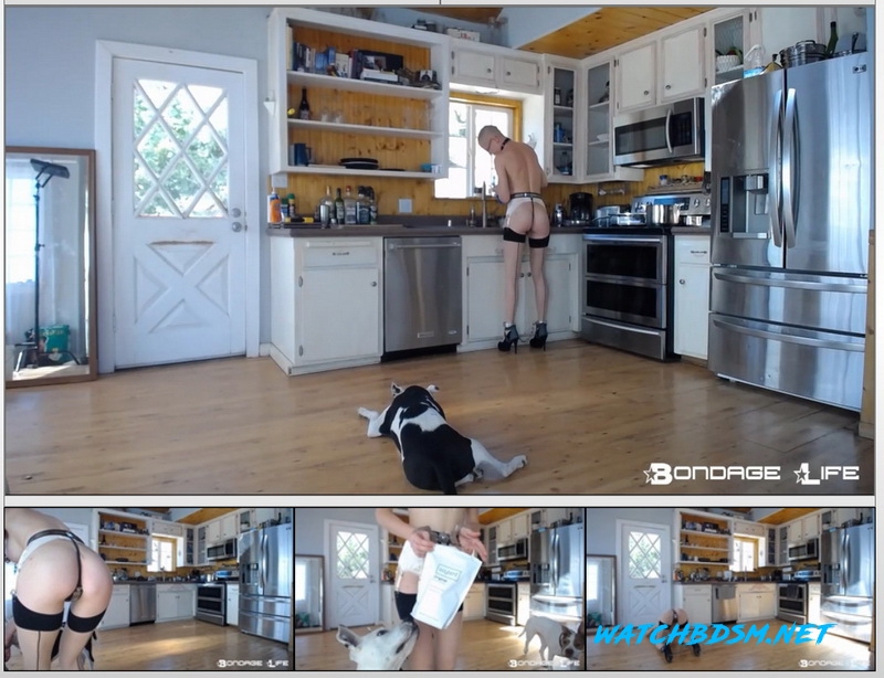 Rachel Greyhound - Domestic Service - HD - Bondage Life