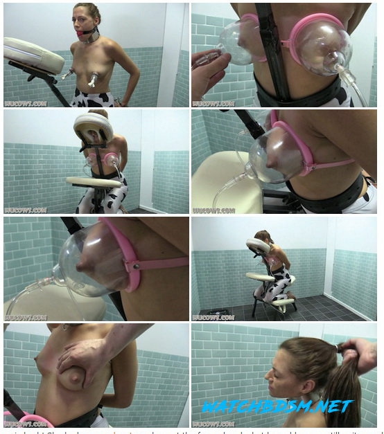 Britney - massage chair udder pump - FullHD - Hucows