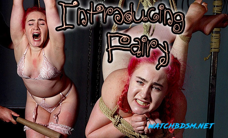 Christian Red - Introducing Fairy - FullHD - Shadow Slaves