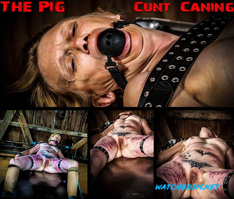 The Pig – Cunt Caning - FullHD - BrutalMaster