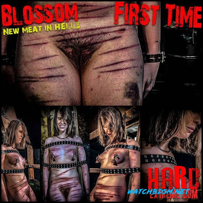 NEW MEAT Blossom First Time (Chapter One) - FullHD - BrutalMaster